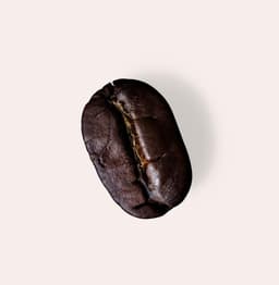 Vittoria Coffee Mountain Grown Coffee Beans 1kg High Altitude